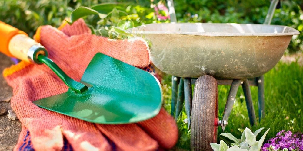 Садовый инвентарь:  садовые инструменты нужны для сада и огорода
